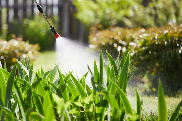 24/7 Emergency Mosquito Control experts in Fairport, NY