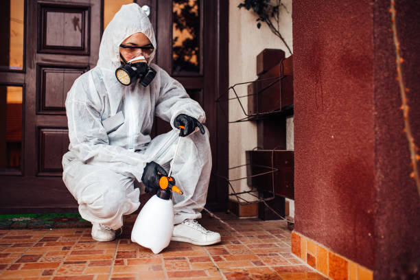 Reliable Mosquito Control contractor in Fairport, NY by Show Me Pest Control